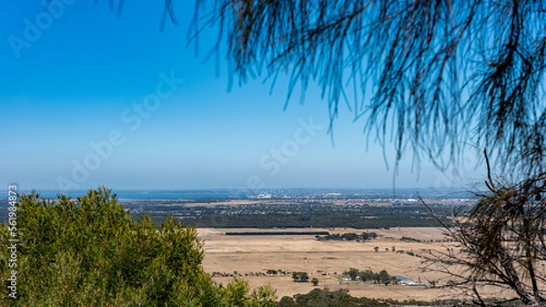 Fototapeta The city of Geelong as seen through the trees at the top of the You Yangs ranges