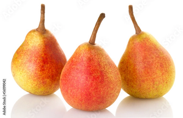 Fototapeta Three ripe pears isolated on white background