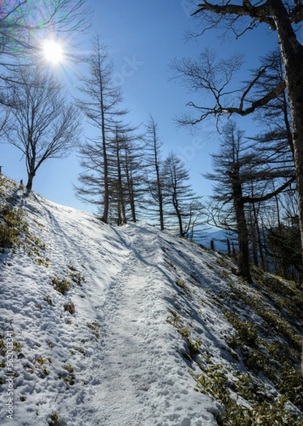 Obraz 登山