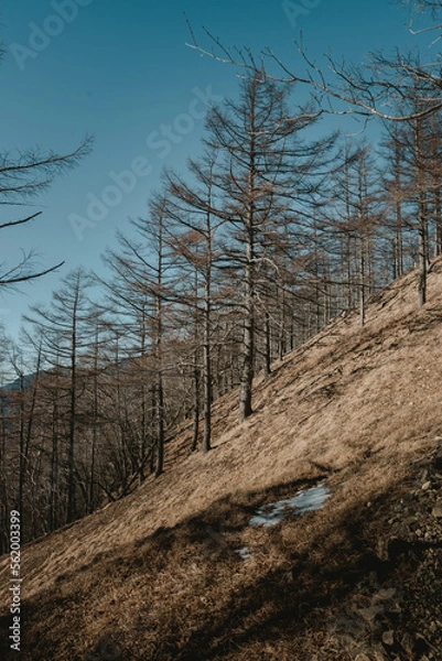 Obraz 雲取山登山