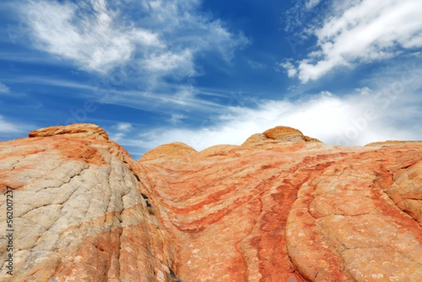 Obraz Scenic view of marvelous red and white sandstone formations of Yant Flat in Utah, USA