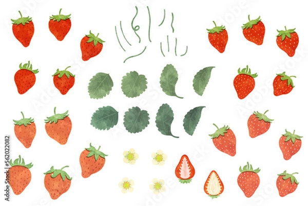Obraz レトロなイチゴのイラスト素材セット