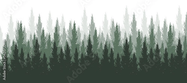 Fototapeta Pine forest vector