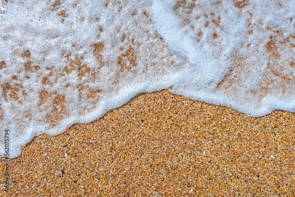 Obraz sand and shells