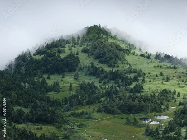 Obraz 日本北海道長野