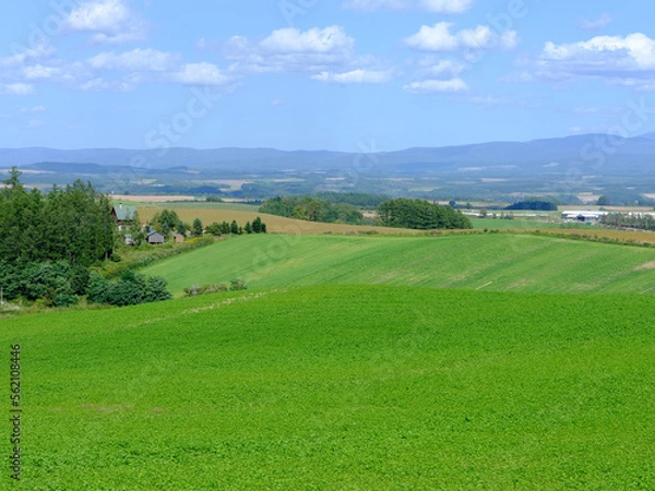 Obraz 日本北海道風景