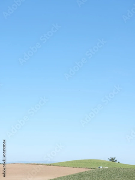 Obraz 日本北海道風景