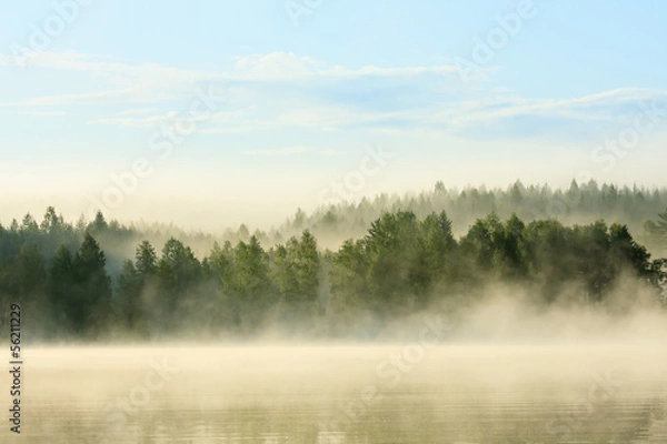 Obraz foggy forest and lake at dawn