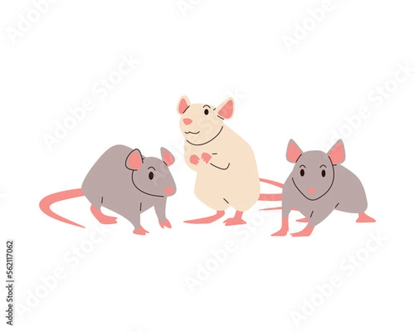 Obraz Grey and white standing rats. flat Vector illustration.