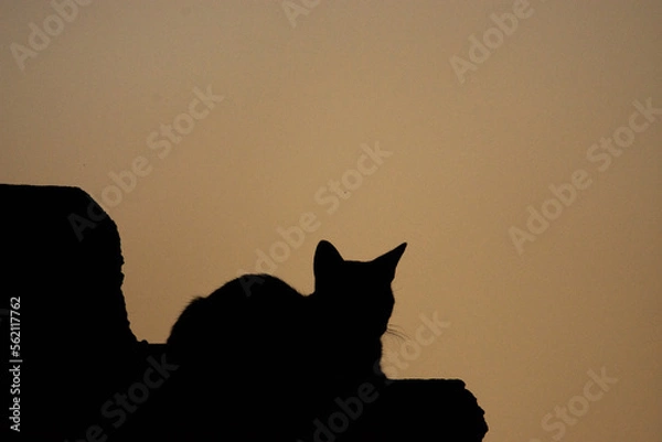 Obraz silueta al atardecer