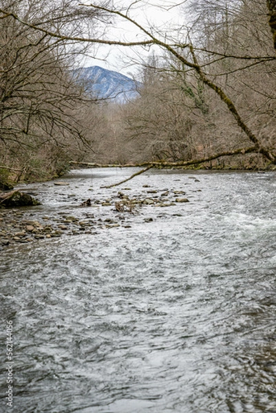 Fototapeta mountain stream