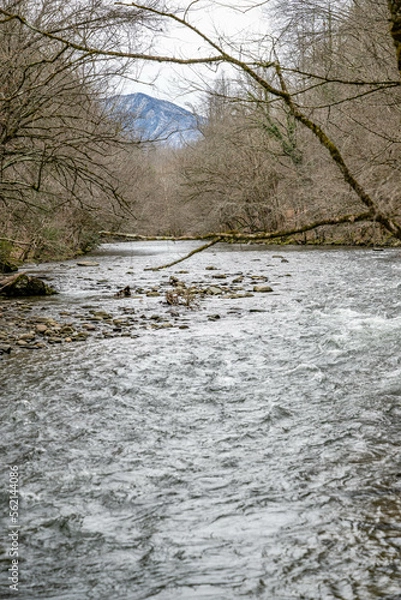 Fototapeta mountain stream