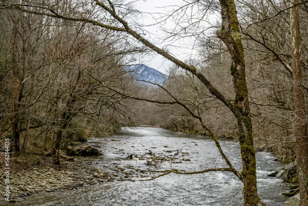 Obraz mountain stream