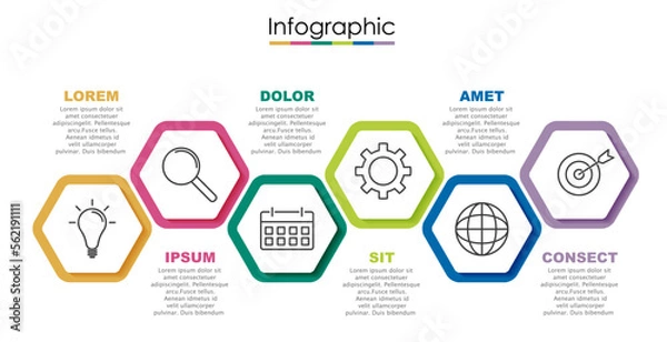 Obraz Vector infographic template with six steps or options. Illustration presentation with line elements icons.  Business concept design can be used for web, brochure, diagram, chart or banner layout.