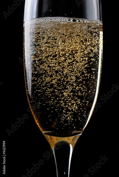 Obraz Champagne flute with bubbles against dark background