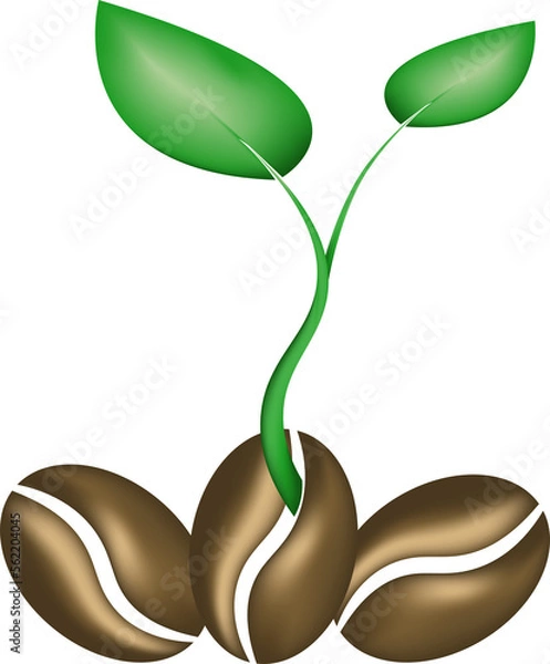 Obraz Illustration of sprouted coffee bean on a white background.