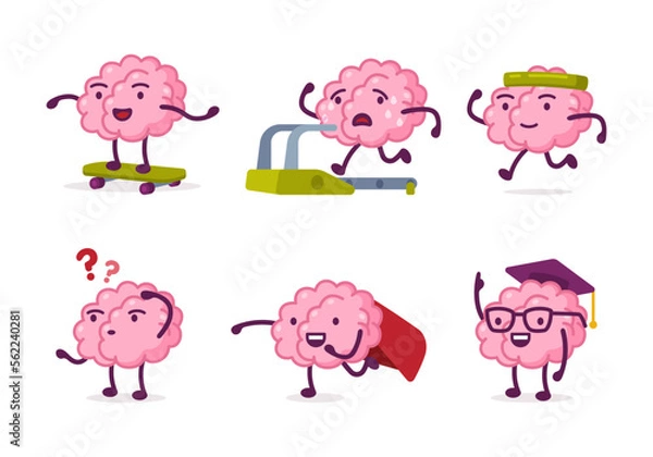 Fototapeta Cute funny brain characters set. Human brain nervous system organ skateboarding, running on treadmill, doing sport, learning cartoon vector illustration