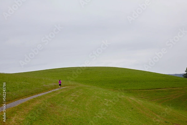 Obraz running on the hill