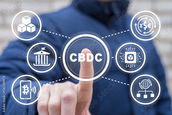 Fototapeta CBDC Central Bank Digital Currency Concept. Businessman using virtual touchscreen presses abbreviation: CBDC.