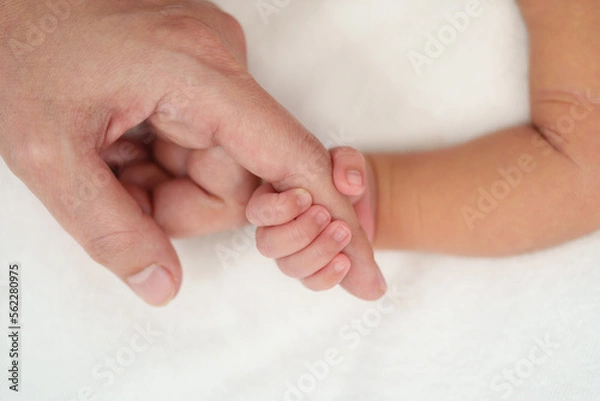 Fototapeta newborn baby hand holding index finger of mother on bed