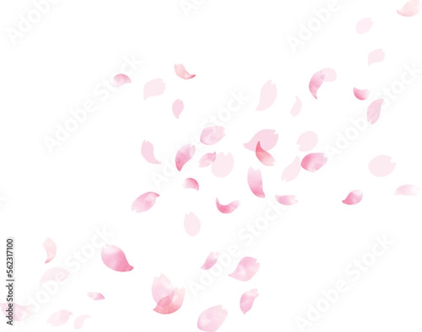 Obraz 水彩　風に舞う桜の花びらフレーム、背景