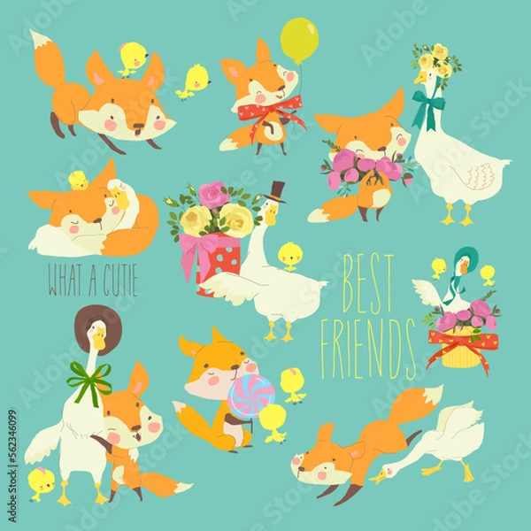 Fototapeta Cartoon Set with Cute Foxes and Gooses