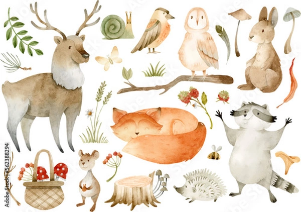 Obraz Watercolor forest animals and nature elements isolated clipart set 