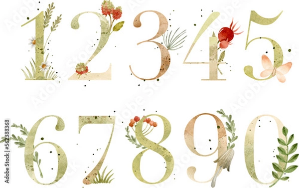 Obraz Watercolor numbers with natural elements, berries, mushrooms, flowers and texture 