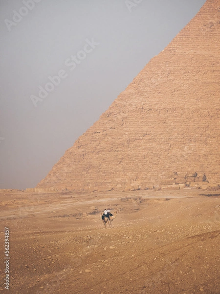 Fototapeta Two officers sitting on their camels in front of a pyramid in Giza, Cairo, Egypt.