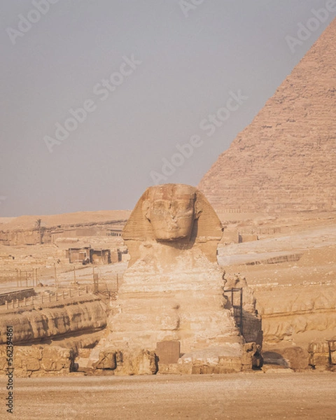 Fototapeta The Sphynx with a pyramid in the background in Giza, Cairo, Egypt.