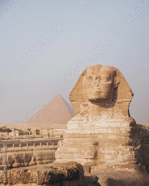 Fototapeta The Sphynx with a pyramid in the background in Giza, Cairo, Egypt.