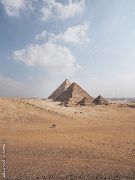 Fototapeta View of the pyramids in Giza, Cairo, Egypt with camels walking in foreground and city in background.