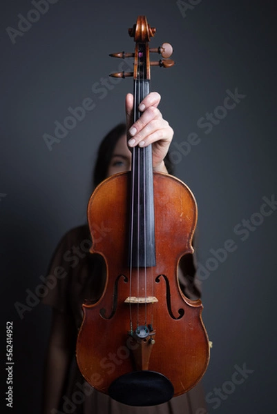 Fototapeta A classical violin held up