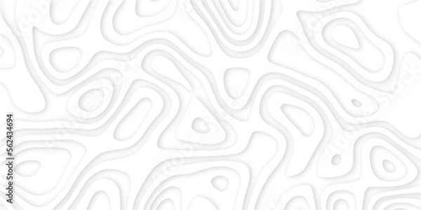 Fototapeta Abstract wavy line 3d paper cut white background. Topographic canyon geometric map relief texture with curved layers and shadow. Abstract realistic papercut decoration textured with wavy layers	
