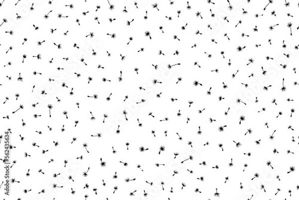 Obraz Seamless pattern fluff silhouette dandelion on white background