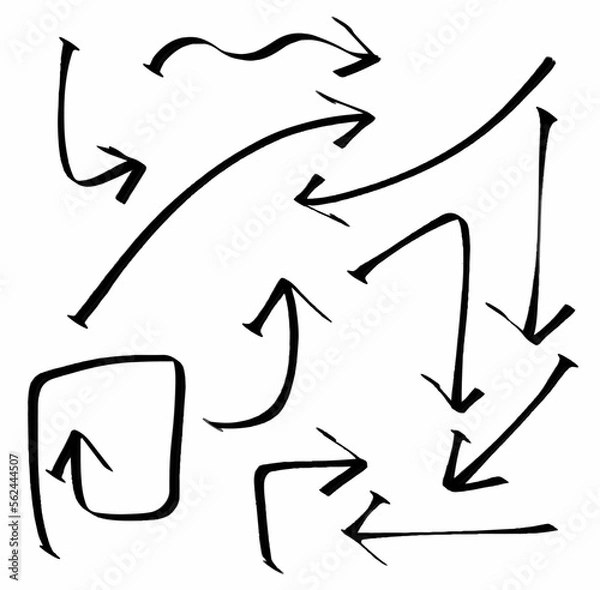 Fototapeta Set of arrows in different directions on white background. vector design illustration