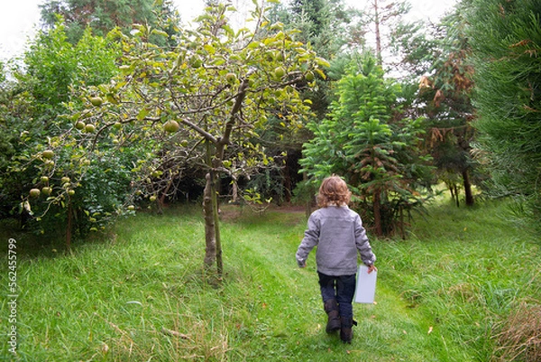 Obraz Young child on scavenger hunt in nature.