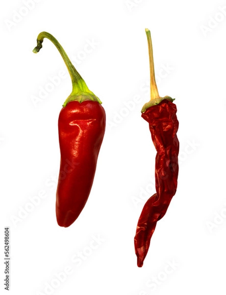 Fototapeta Fresh and dried chili pepper isolated on white background. Photo of two ripe red chili peppers