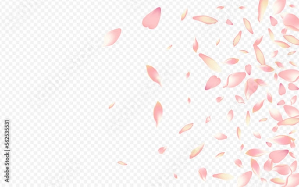 Fototapeta Color Apple Vector Transparent Background. Rosa