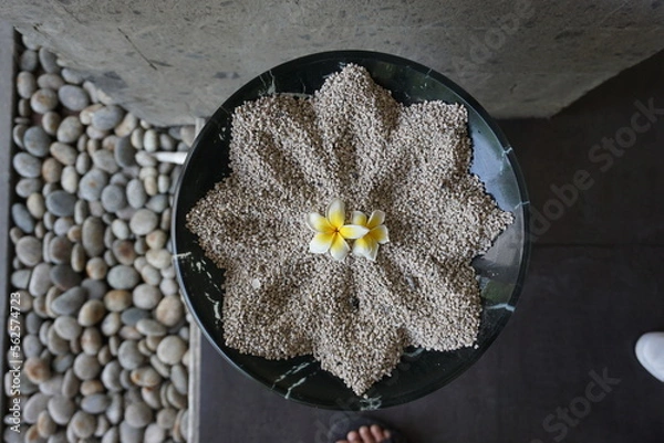 Obraz flower on a table