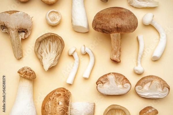 Fototapeta Composition with different fresh mushrooms on color background