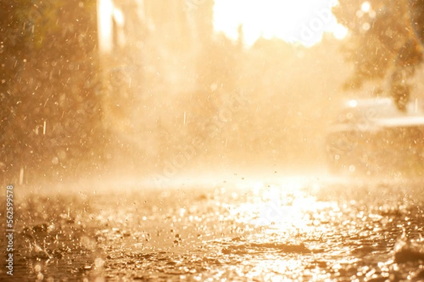Obraz summer rain, drops falling on. Golden rain. 