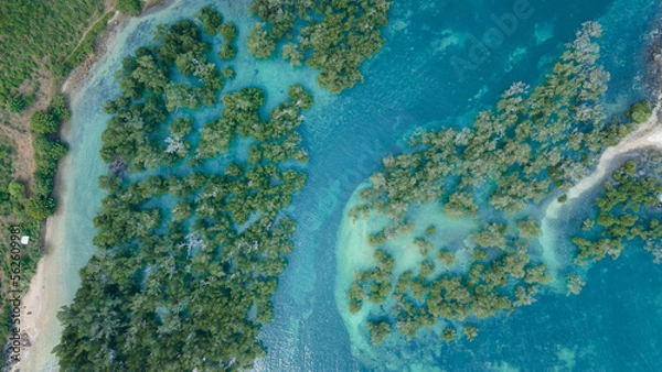 Fototapeta Aerial view of Mangrove forest, Mandalika surrounding area seascape aerial view
