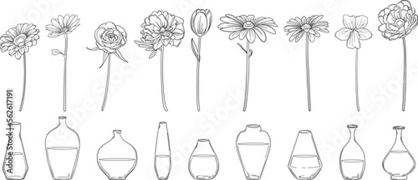 Fototapeta 繊細な線画の花と一輪挿しの花瓶セット　ベクター素材