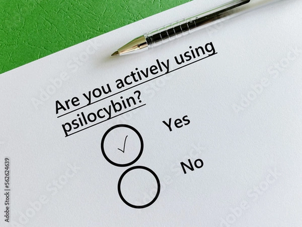 Fototapeta Questionnaire about substance use