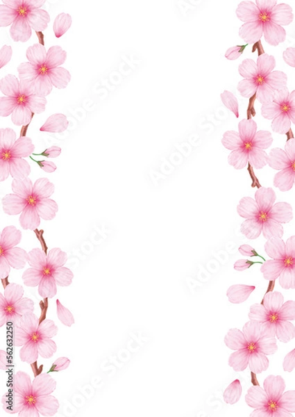 Obraz 春の美しい桜のフレーム背景素材