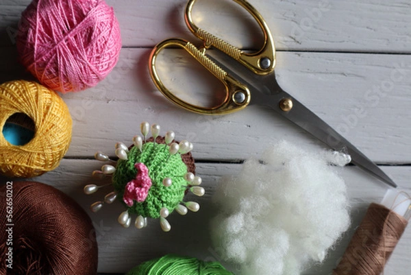 Obraz Crocheted needle holder Cactus. Handiwork.