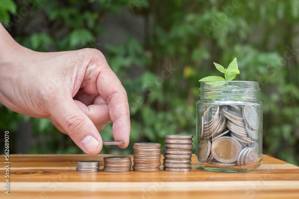 Fototapeta money saving hand in a jar, with natural lighting and coin in the jar growing in to little sprout and green natural light