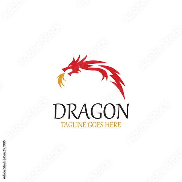 Obraz dragon logo design template. vector illustration