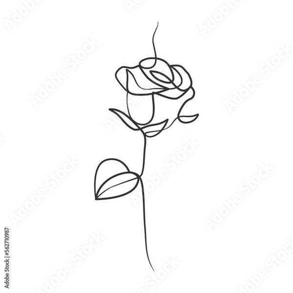 Fototapeta Rose flower in continuous line art drawing style